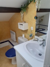 2220-10708.jpg